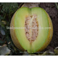 NSM011 Fafa Hybrid süße Melone Samen Sämaschine für kleine Samen